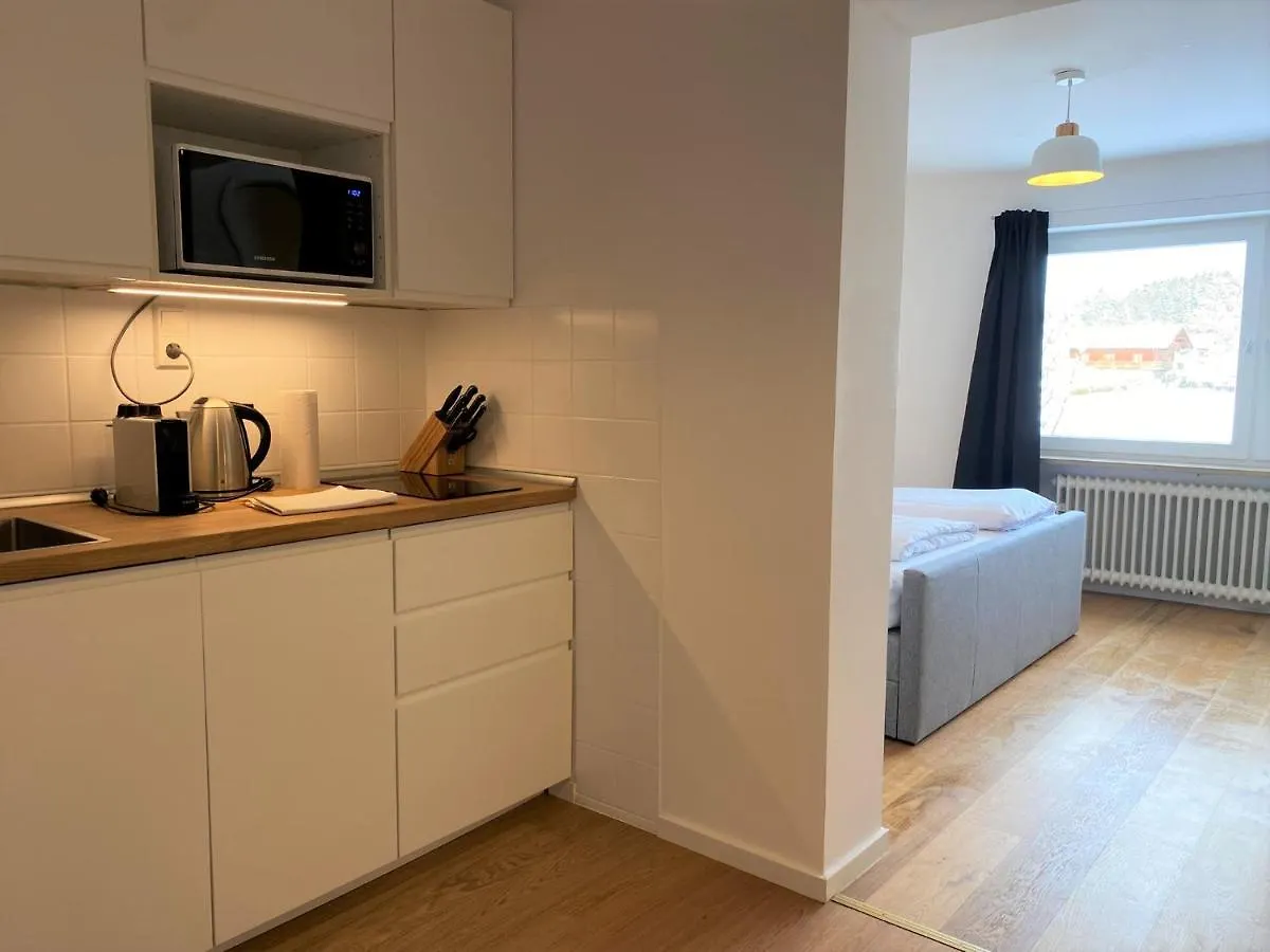公寓 Apartmenthaus Am Tegernsee - Studios Mit Kuechenzeile Und Mit Bus Erreichbar 巴特维塞